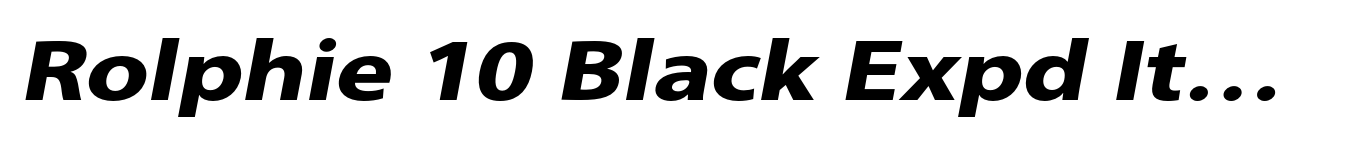 Rolphie 10 Black Expd Italic